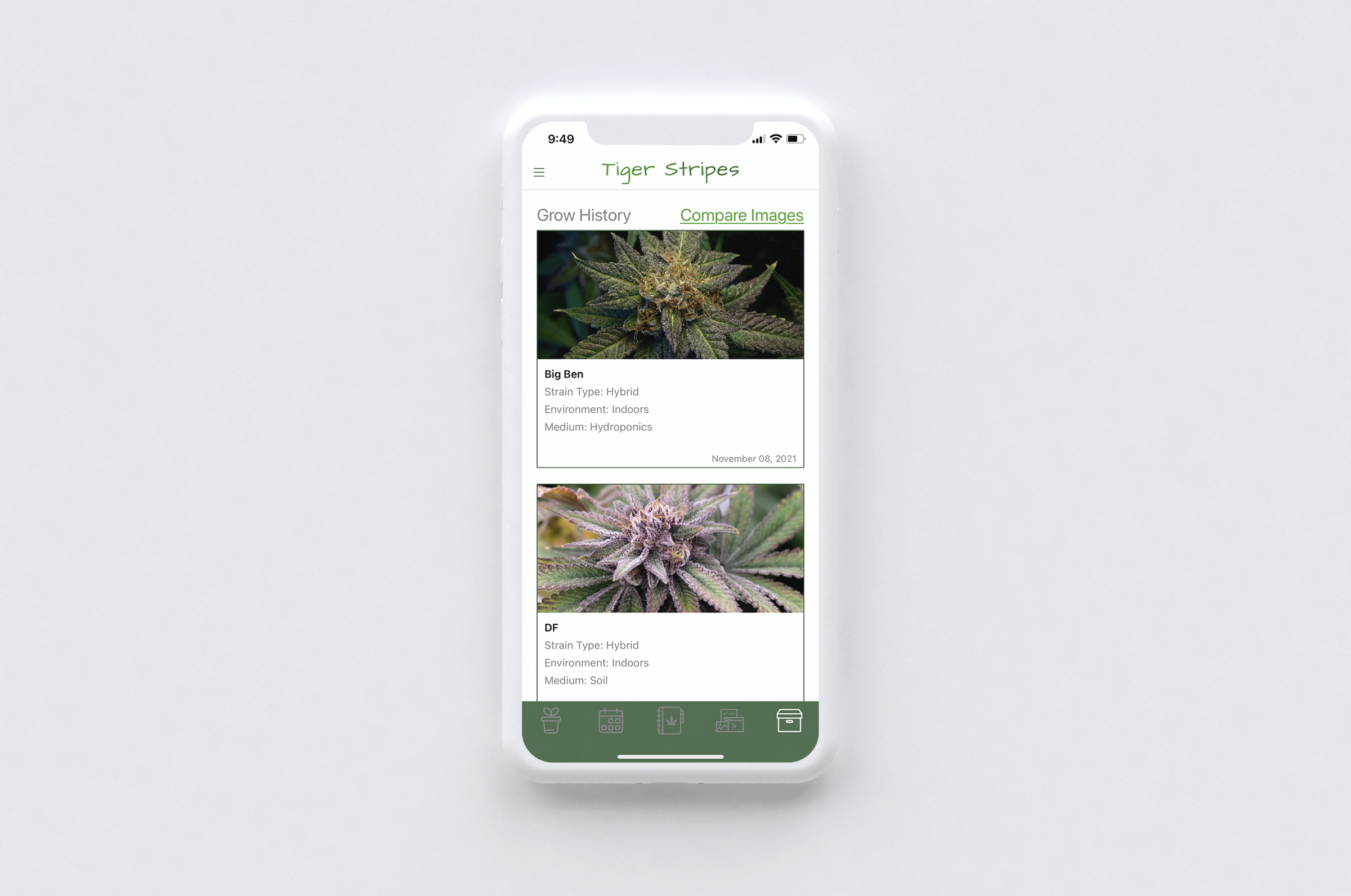 Phone showing the Tiger Stripes grow history with photos of two plants